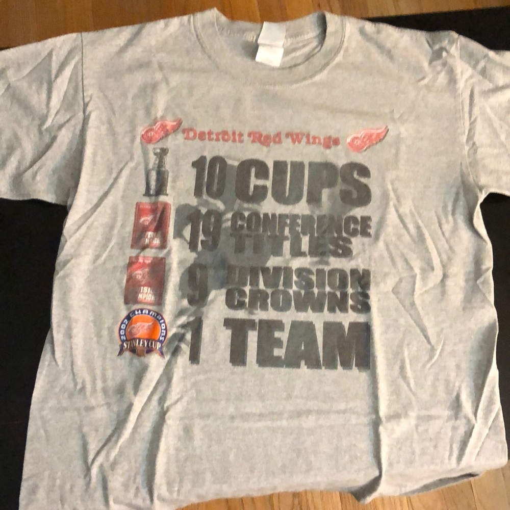 Detroit Red Wings Large Grey Championships T-Shirt